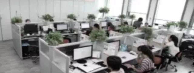 催收公司这么猖狂，那么他们最怕什么人？