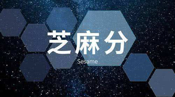 芝麻分600以上可以享受的借款权益有哪些？这几个专享特权你知道吗？